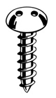 Tamperproof Screws - Snake Eye Truss Head
